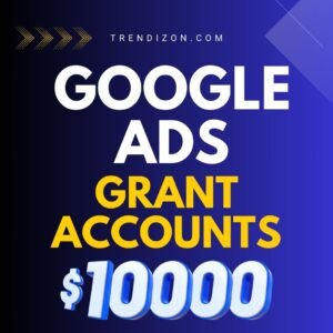 Google Ads Grant Accounts
