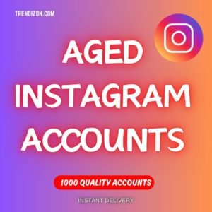 Buy Aged Instagram Accounts