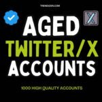 Buy Aged Twitter Accounts
